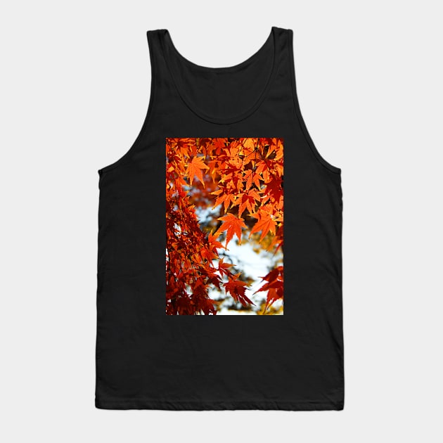 Autumn Colours 6 Tank Top by WaterGardens